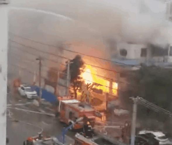 宁夏阳光下的故事传奇