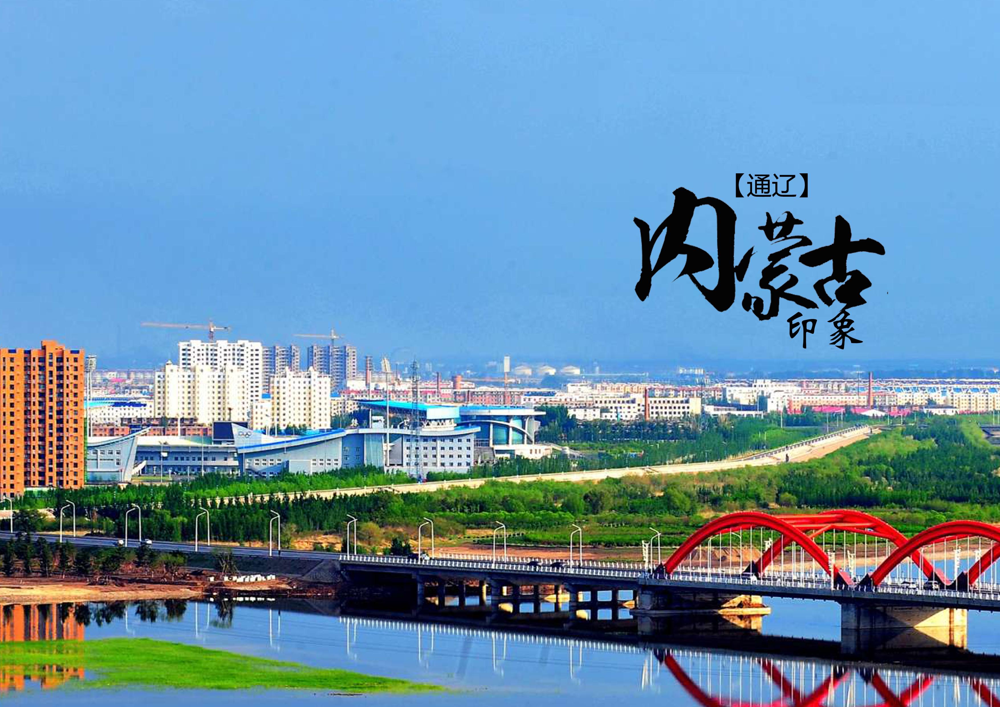 通辽任务指南,初学者与进阶用户的学习某项任务或技能的详细步骤手册